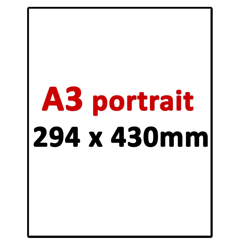 A3 Portrait 294 x 430mm